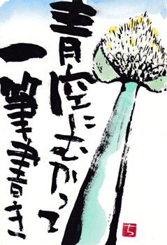 ねぎぼうず・青空にむかって_a0030594_21565766.gif