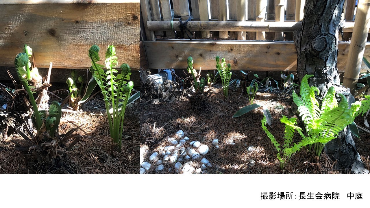 春到来_b0159098_10453902.jpg
