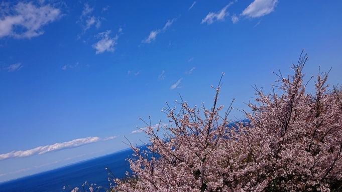 b0192199_20060729.jpg