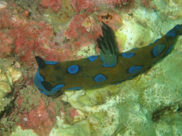 e0115199_14062826.jpg