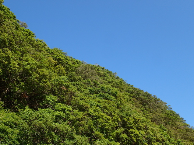 e0115199_14195345.jpg