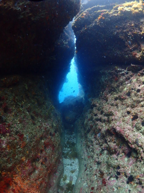e0115199_18255674.jpg