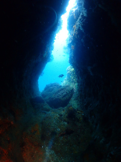 e0115199_18261755.jpg