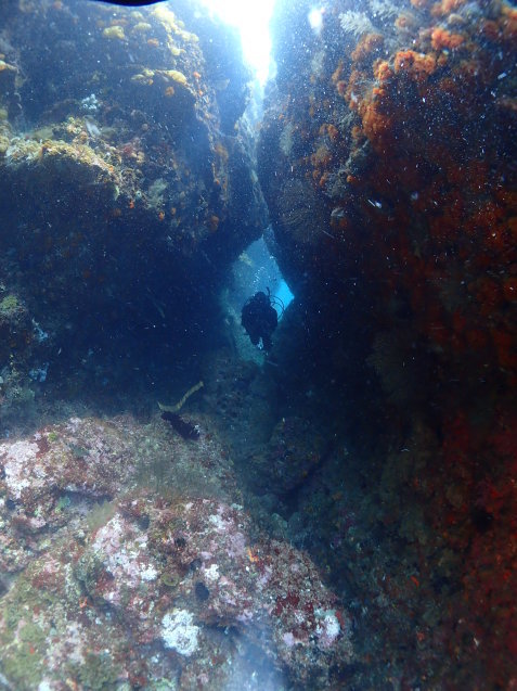 e0115199_18263056.jpg