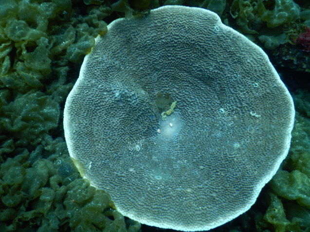 e0115199_18591808.jpg