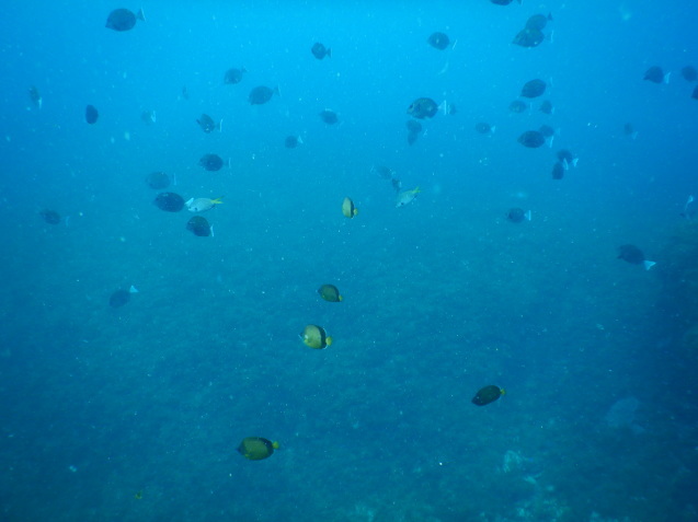 e0115199_19160758.jpg