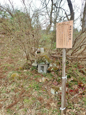 c0336902_21163699.jpg