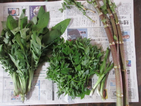 山桜咲く・摘み草を食べる など_a0203003_21351355.jpg
