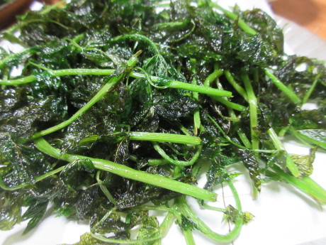 山桜咲く・摘み草を食べる など_a0203003_21354446.jpg
