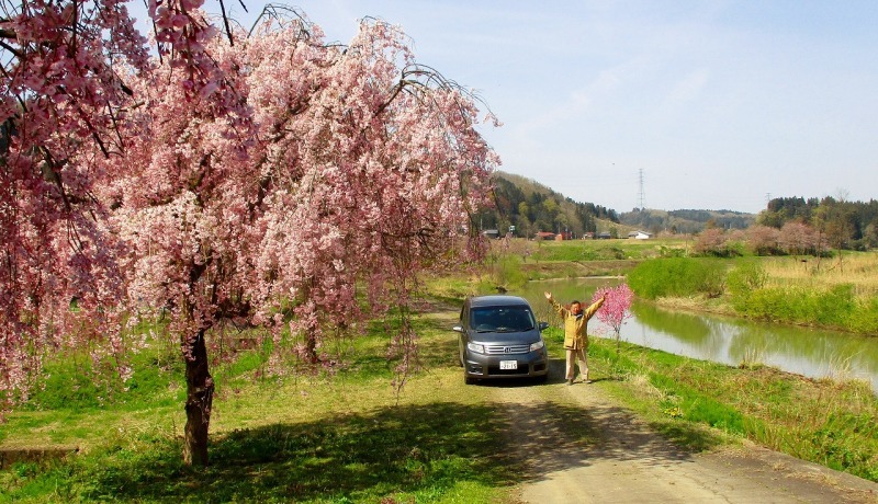 つつみ公園桜吹雪ドライヴィング_b0163804_13575546.jpg