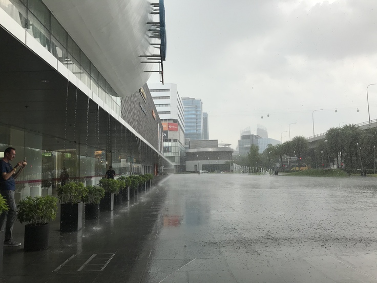 4/23☆大雨になりました。(´・ω・`)_c0212604_16275465.jpg