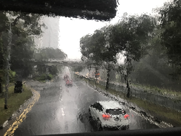 4/23☆大雨になりました。(´・ω・`)_c0212604_16413511.jpg