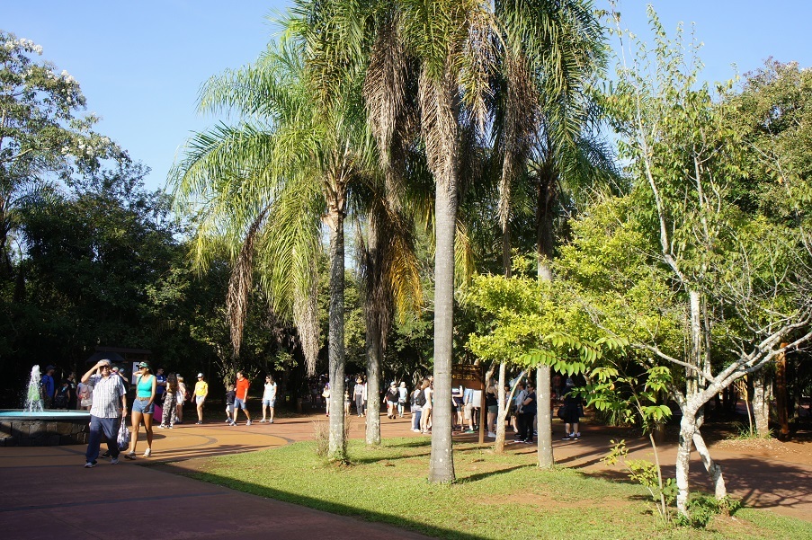 b0112909_16152395.jpg