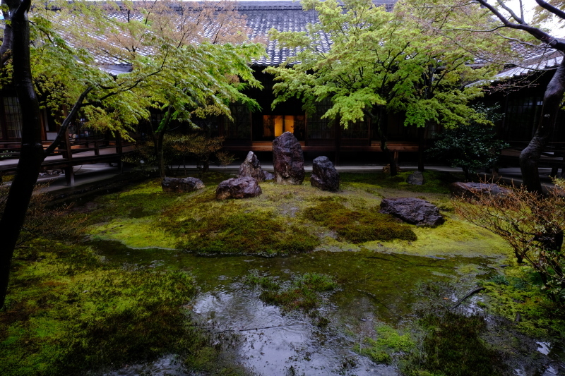 京都の旅 \'19 その2_e0000910_09231424.jpg