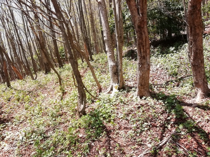 f0193521_68244.jpg