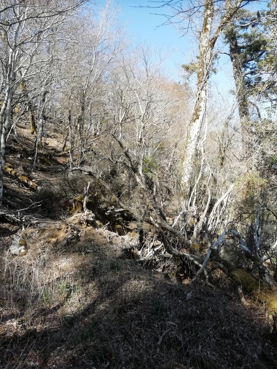 f0193521_89751.jpg