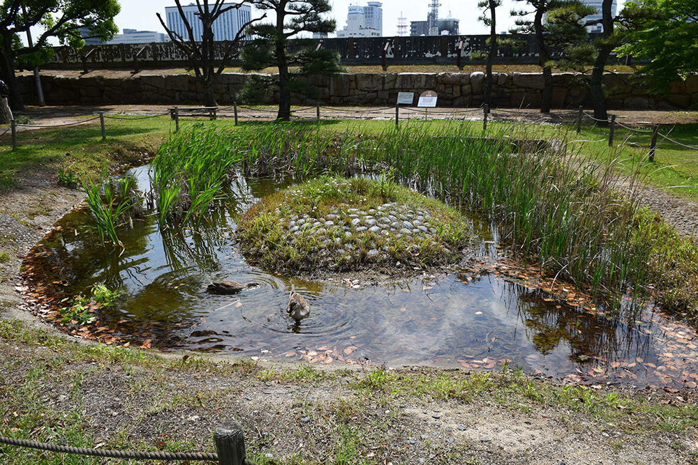 漆黒の烏城、備前岡山城を歩く。 その3「本丸中の段」_e0158128_19095365.jpg