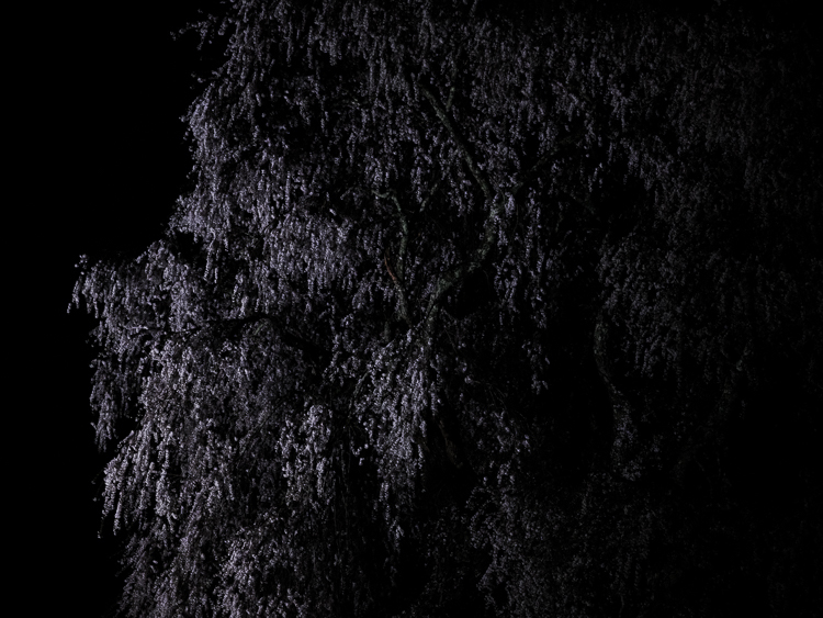 f0129532_19093029.jpg
