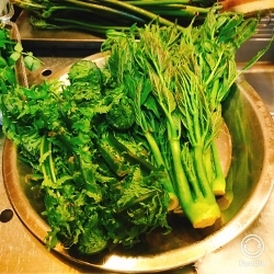 高野山へ 春の味を満喫_a0059035_21260133.jpg