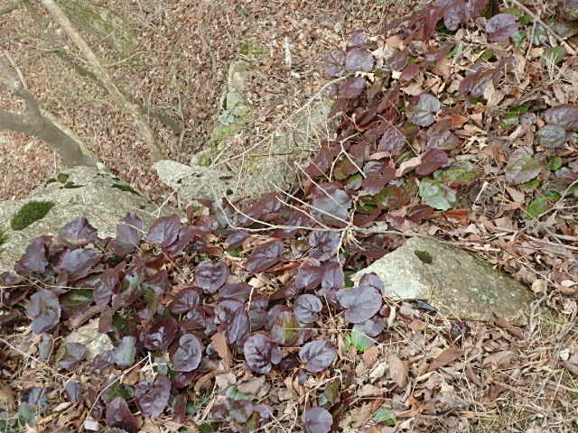 f0334143_21162215.jpg