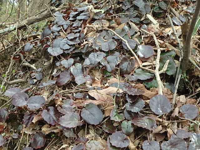 f0334143_21202699.jpg