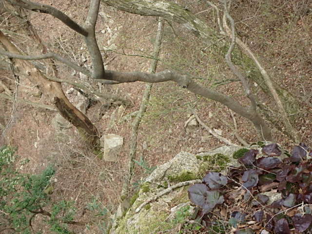 f0334143_212088.jpg