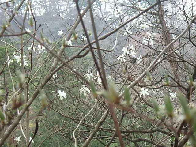f0334143_212512.jpg