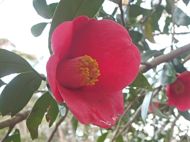 f0334143_21251371.jpg