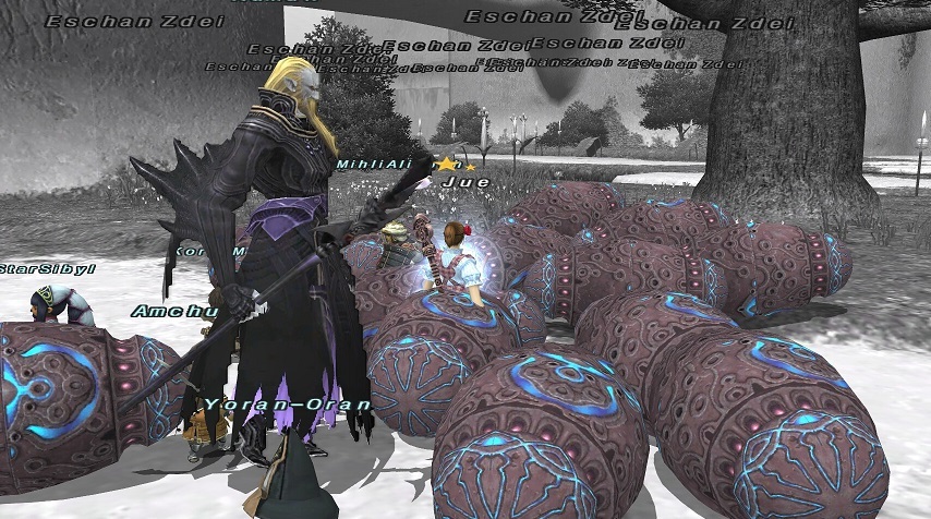 エスカルオンNM討伐の旅 ~Warder of Temperance~_e0401547_19425961.jpg