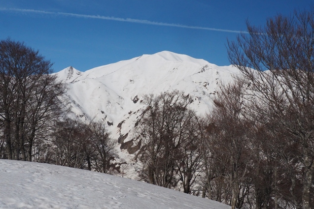 2019/4/20 西俣ノ峰から頼母木山_b0189948_22503887.jpg