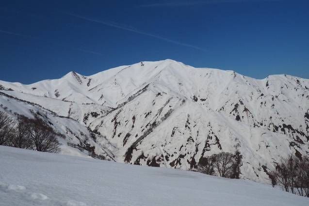 2019/4/20 西俣ノ峰から頼母木山_b0189948_22545894.jpg