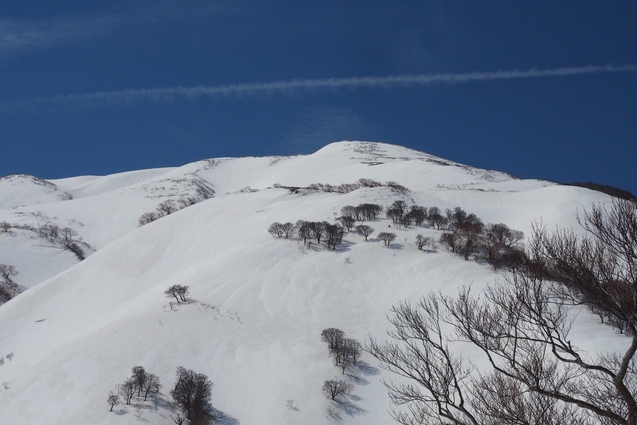 2019/4/20 西俣ノ峰から頼母木山_b0189948_22564987.jpg