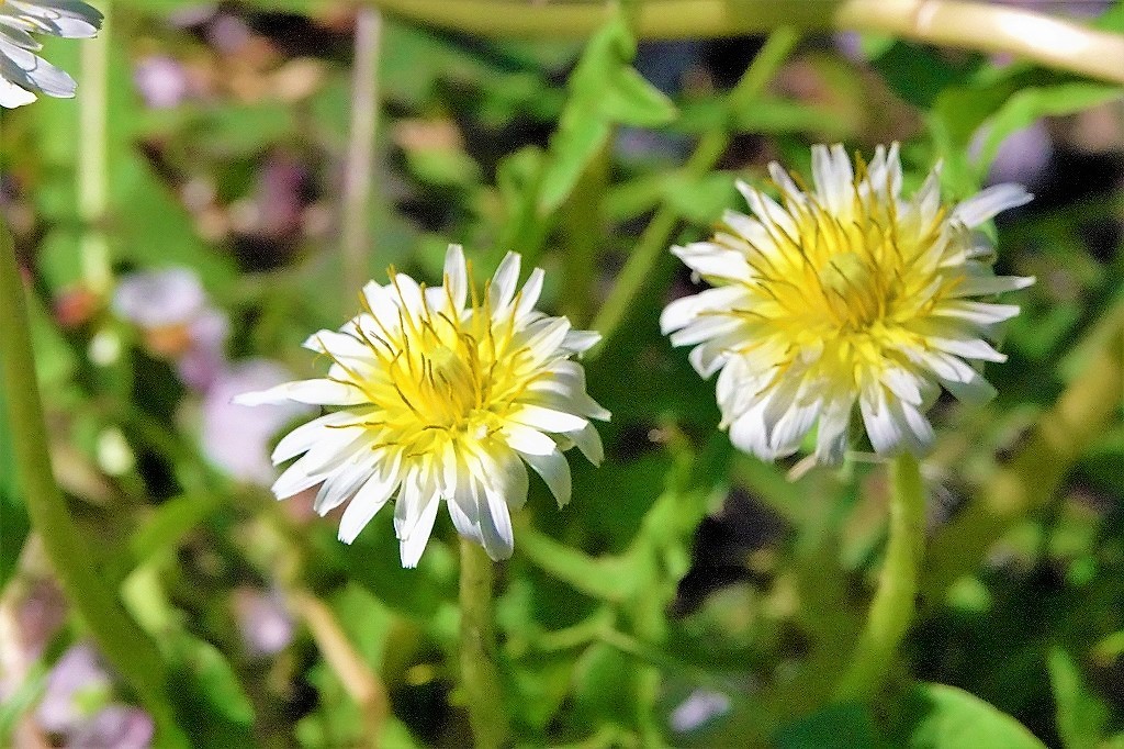 b0236251_11464289.jpg