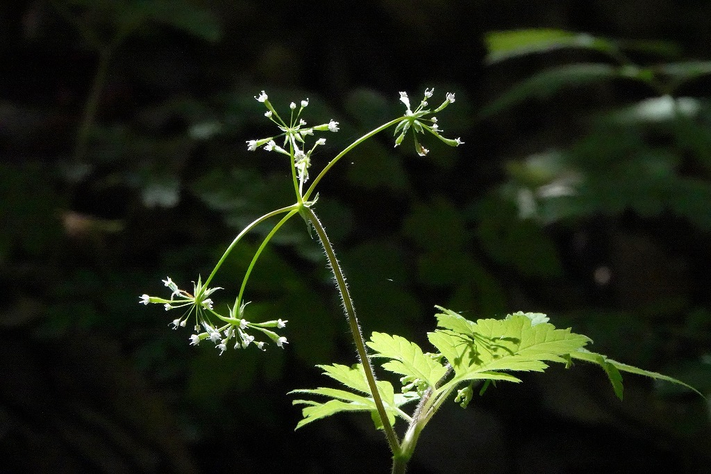 b0236251_11464807.jpg