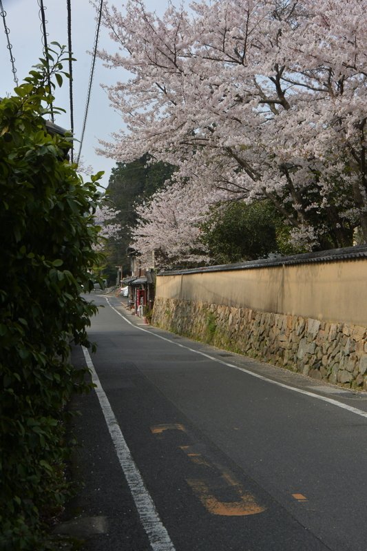 旧山陽道の桜・後編_e0354451_07082334.jpg