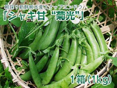 スナップエンドウ「シャキ甘“菊光”」令和2年度出荷開始!シャキっとした食感!ほんのり甘い旨さが大人気!_a0254656_17270590.jpg