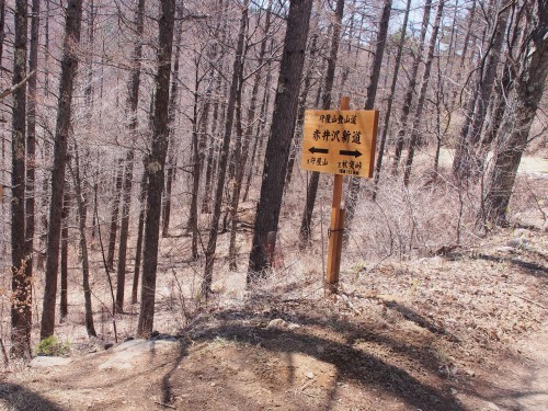 b0335256_11220550.jpg