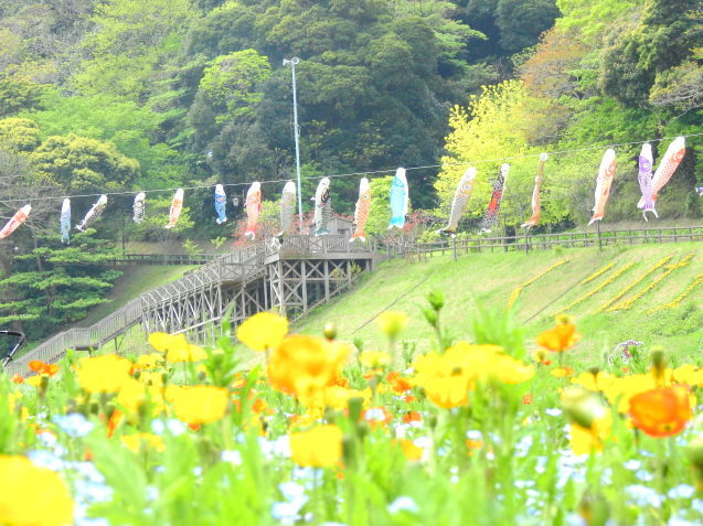 d0389159_20062531.jpg