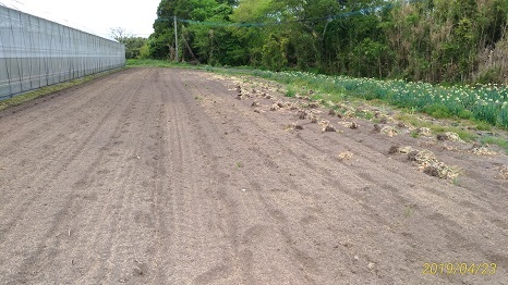f0186462_23572503.jpg