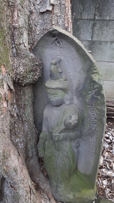 文京区白山石仏・花探訪、霊柩車を見たら親指、幕末維新津田梅子、吉原三投込寺、ノートルダム炎上、江戸城馬場先門、安宅丸、二百三高地、眩暈鎮静化傾向twitter収束方向:2019/4/16-4/22_b0116271_13411792.jpg