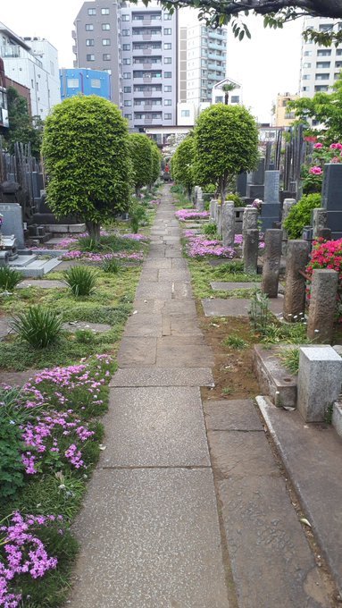 文京区白山石仏・花探訪、霊柩車を見たら親指、幕末維新津田梅子、吉原三投込寺、ノートルダム炎上、江戸城馬場先門、安宅丸、二百三高地、眩暈鎮静化傾向twitter収束方向:2019/4/16-4/22_b0116271_13433948.jpg