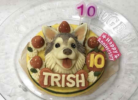 ♪ トリッシュ 10th Birthday ♪_c0161772_22285488.jpg