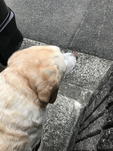 f0315081_22150994.jpeg