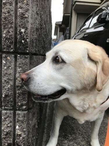f0315081_22153791.jpeg