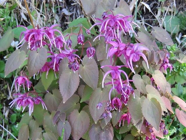 f0357487_12394364.jpg