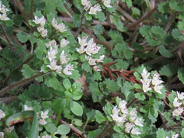 f0357487_12521806.jpg