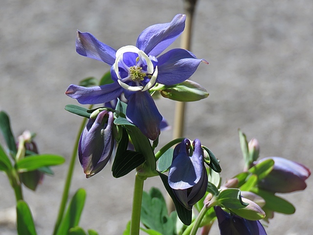 f0357487_12545124.jpg