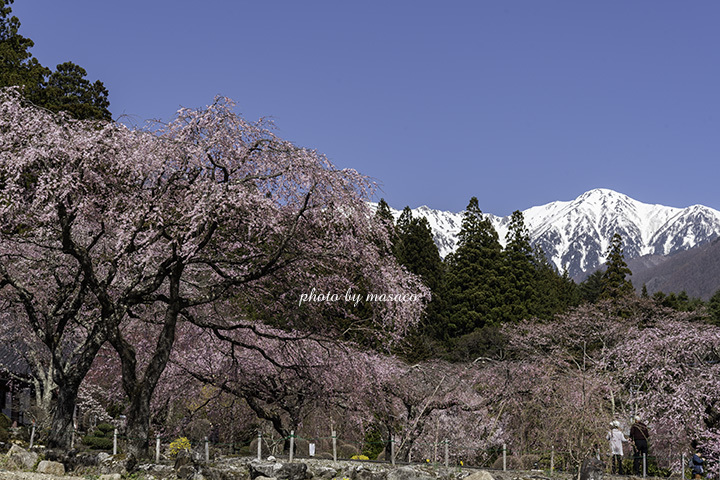 ー 光前寺 ー_a0202688_09492309.jpg