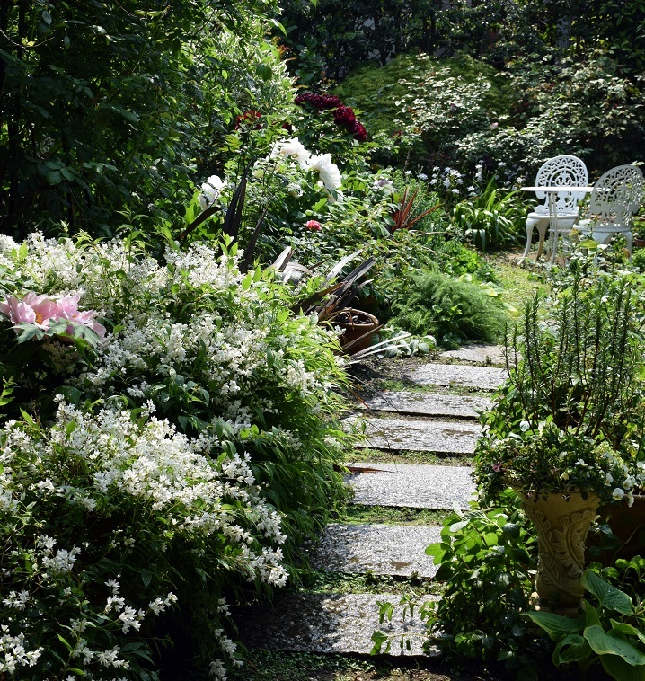 d0099791_00323408.jpg