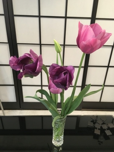 整理整頓_f0347891_02505138.jpeg